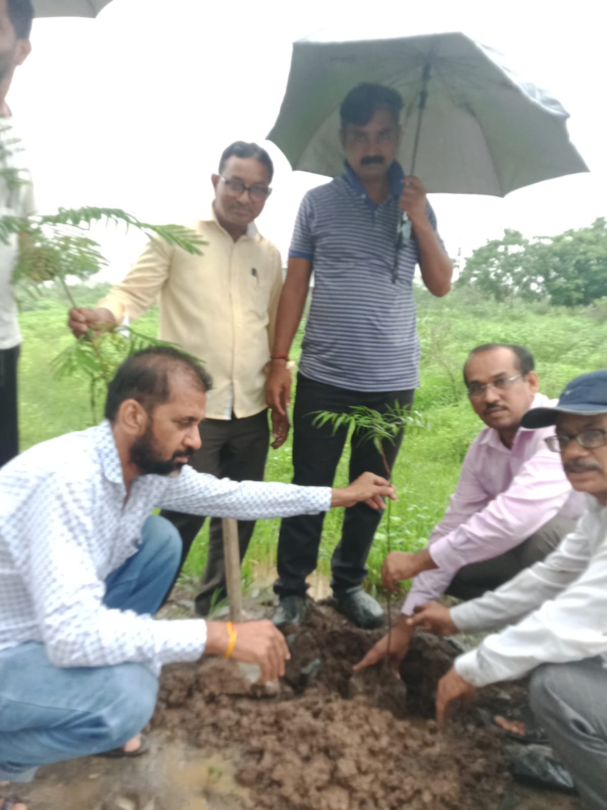 भावसार समाज बहुउद्देशीय संस्था संचलित भावसार ऑर्गनायझेशन ऑफ सोशल सर्विस (BOSS) तर्फे रविवारी २८ जुलै रोजी जागतिक प्रकृती संवर्धन दिनानिमित्त नियोजित असलेला वृक्षारोपणाचा कार्यक्रम