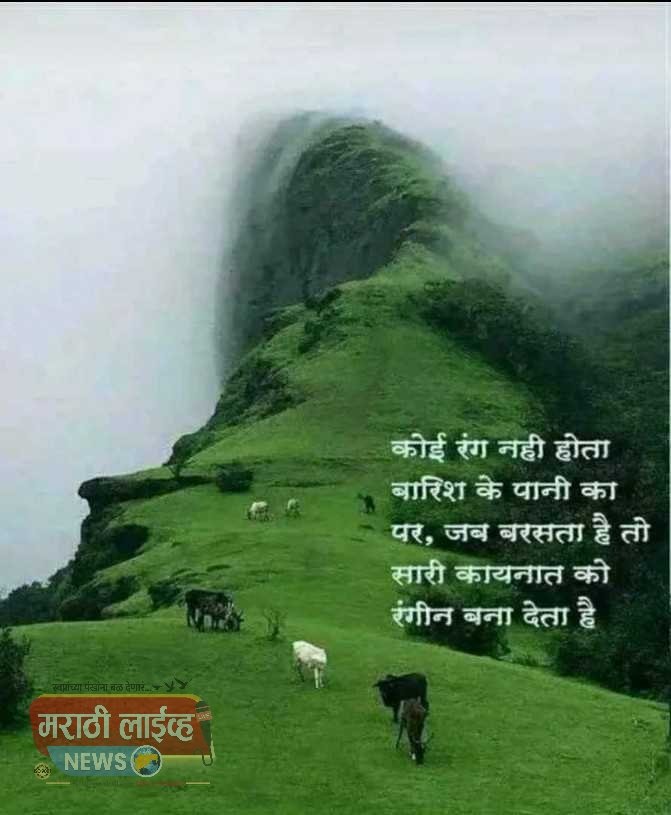 मेघ दाटुनी येता … चिंब पावसाच्या कविता काव्य अभिवाचन कार्यक्रमाचे आयोजन.