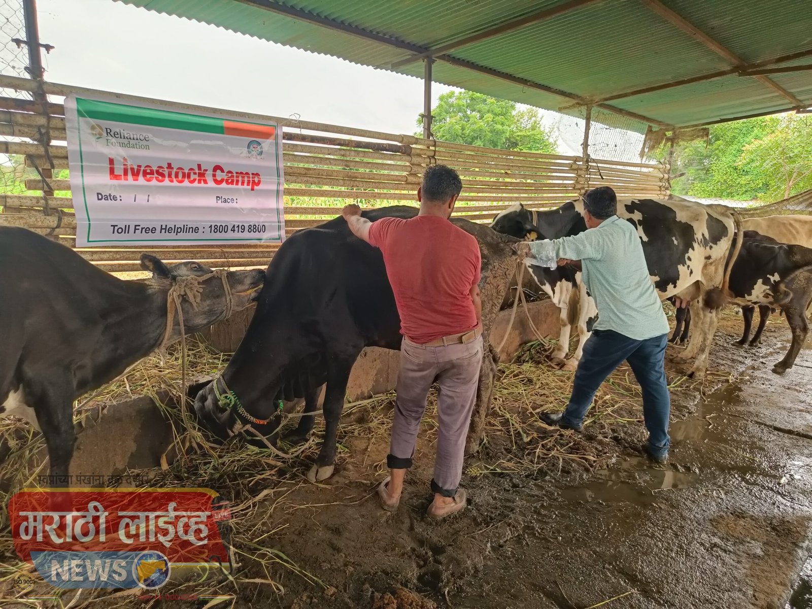 मालपुर येथे पशुसंवर्धन विभाग आणि रिलायन्स फाऊंडेशन तर्फे पशु आरोग्य तपासणी शिबिर संपन्न