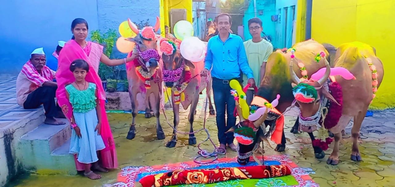 तिसगाव छत्रपती संभाजीनगर येथे बैलपोळा सण उत्साहात साजरा