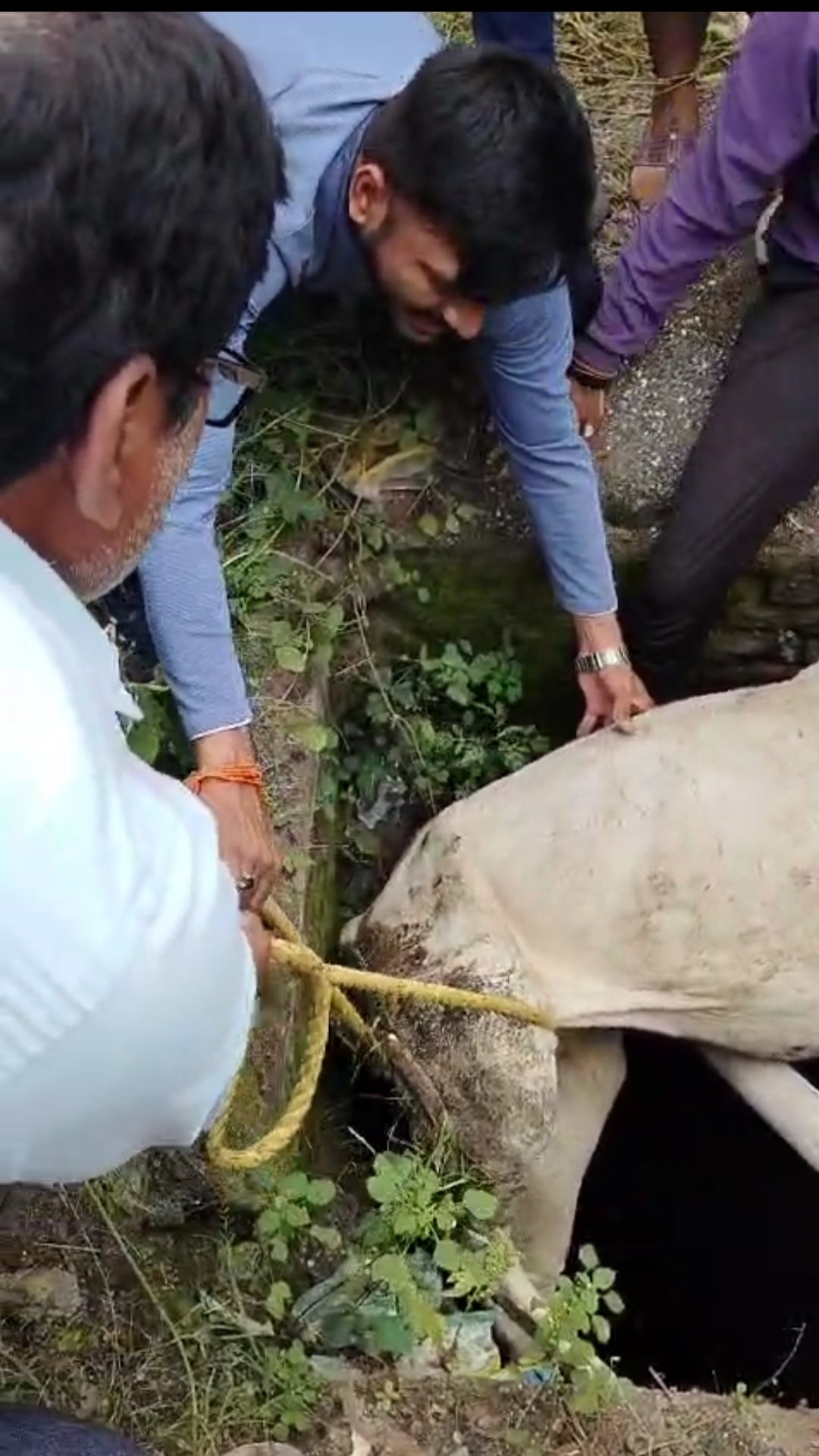 अखेर विहीरीत पडलेली गाय सुखरूप बाहेर …..  अमळनेर नगरपरिषदेचे अग्निशमन दलाच्या सर्व कर्मचाऱ्यांचे सर्वत्र अभिनंदन व सत्कार…