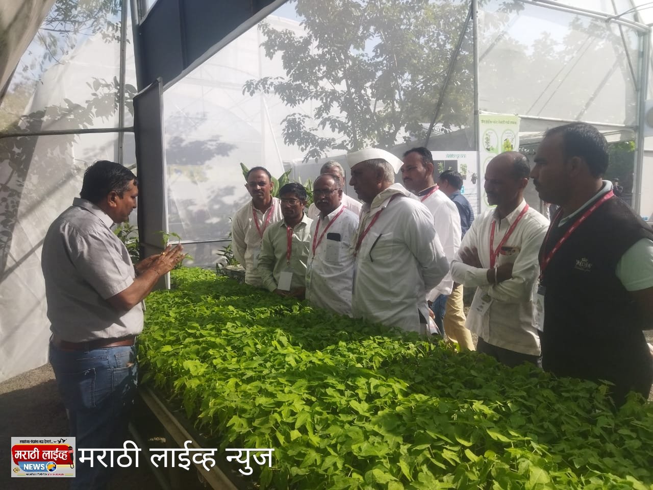 शिंदखेडा तालुक्यातील शेतकऱ्यांचा जैन हिल्स कृषी महोत्सव अभ्यास दौरा संपन्न*  *लुपिन फाऊंडेशन तर्फे बेटर कॉटन प्रकल्पातील शेतकऱ्यांना प्रोत्साहन*