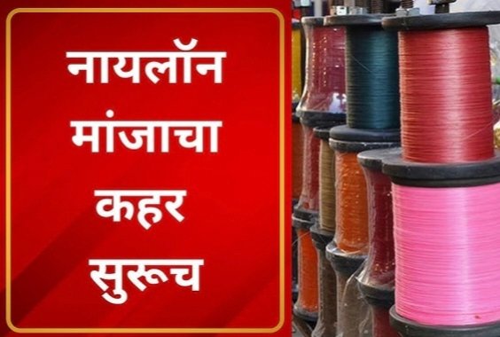 नॉयलान मांजा उत्पादनांवर बंदी आणि सर्वत्र पोलिस कारवाया का नाहीत?* ••••••••••••••••••••••••••••••••••••••••••••• *संजय एम.देशमुख,(निंबेकर) ज्येष्ठ पत्रकार,अकोला* *मोबा.९८८१३०४५४६*