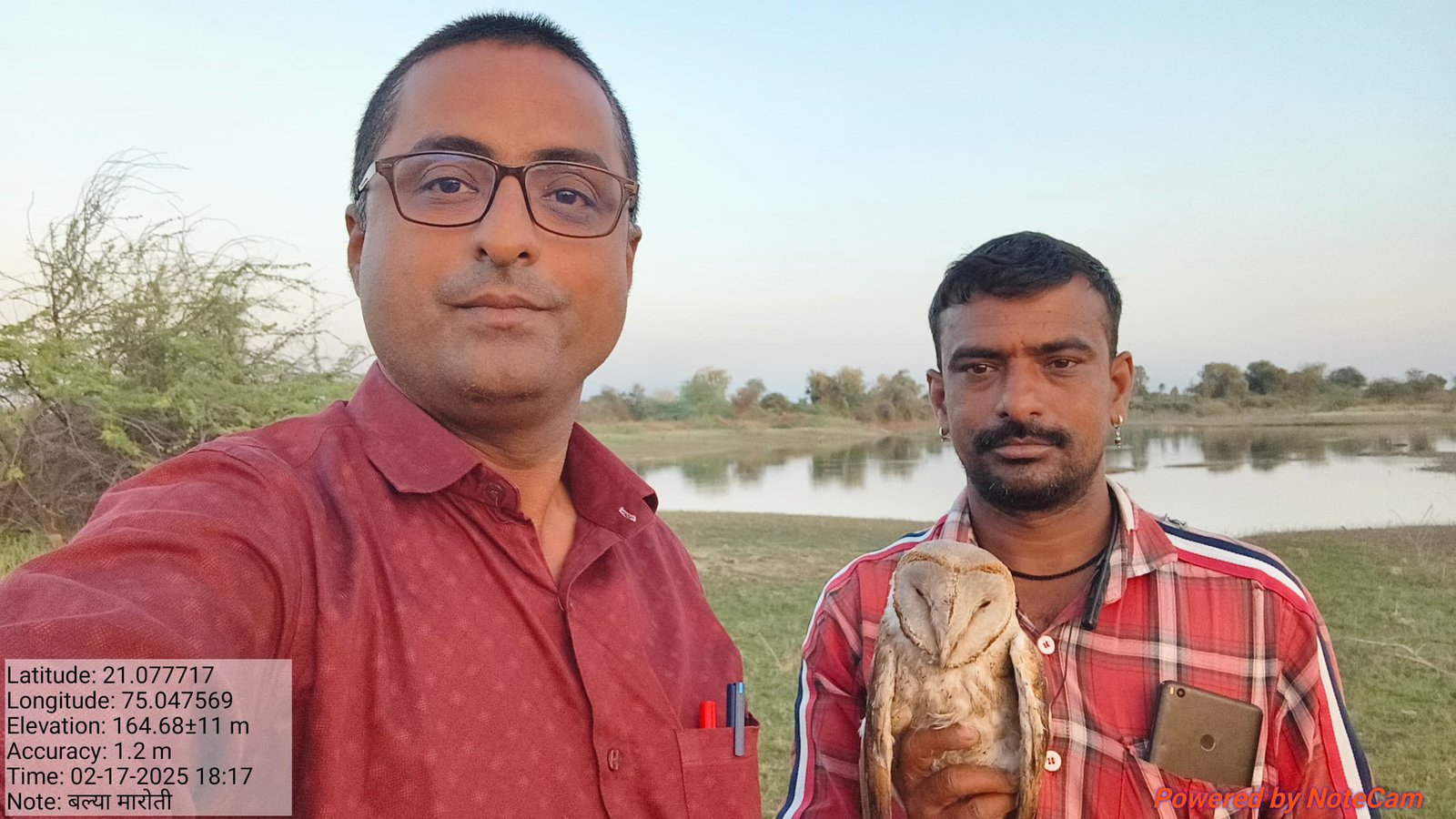 उडान पक्षिमीत्र संस्थेचे कार्य: दुर्मिळ गव्हाणी घुबडाच्या पुनर्वसनाचा रोमांचकारी अनुभव