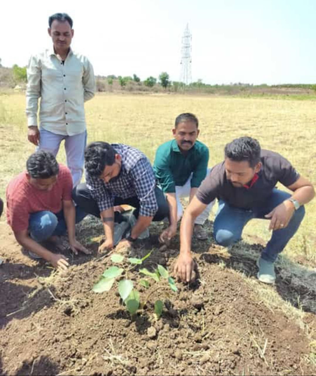 स्व. दिलीप सावळे यांच्या अस्थींचे वृक्षराजीत विसर्जन, नातेवाईकांनी दिला पर्यावरणपूरक आदर्श!