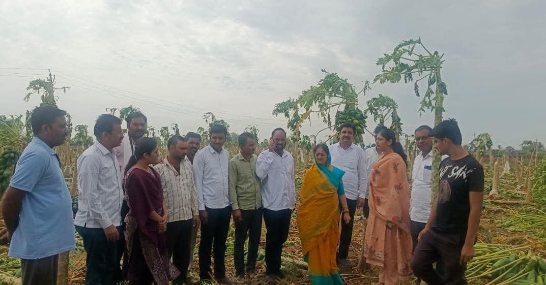 जळगाव लोकसभा मतदारसंघातील वादळी वाऱ्याने केळी-पपई बागायतींना मोठा फटका; शेतकरी संकटात**