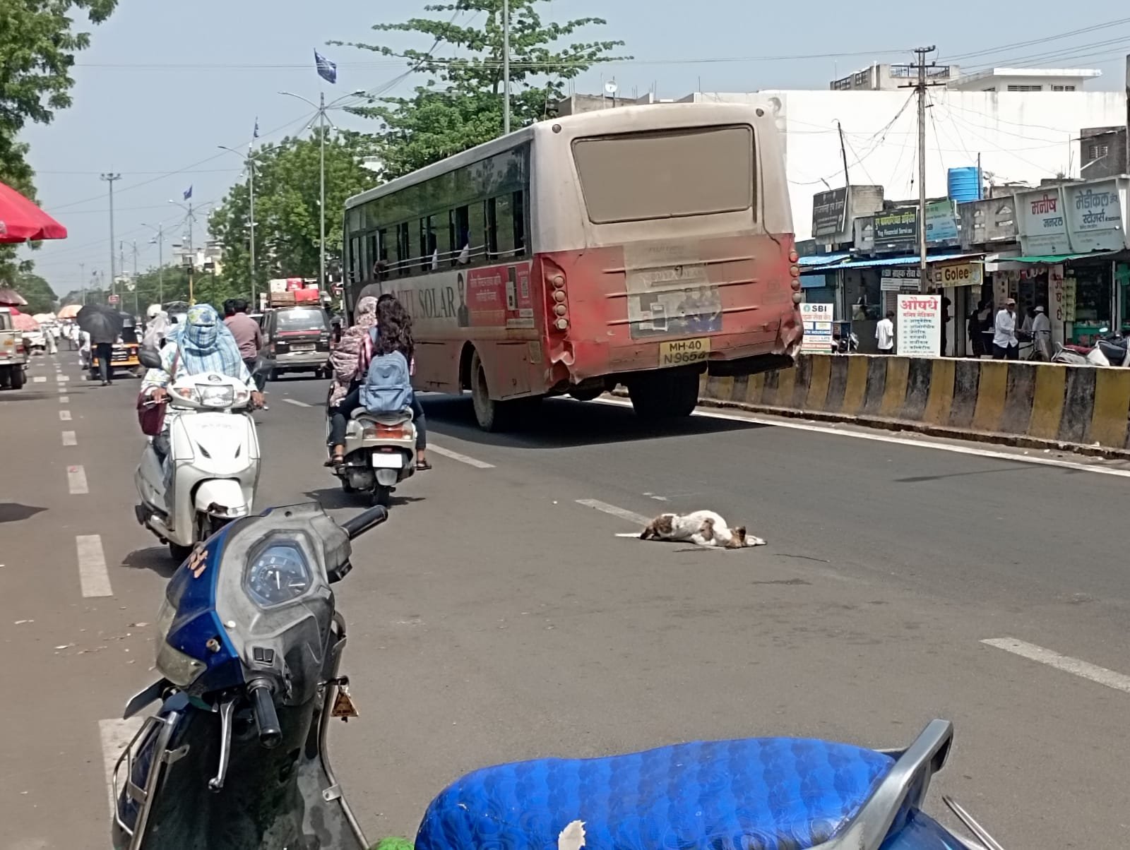 आते मरतस कुत्रा, पुढे मरतीन लोके !  येले जिम्मेदार कोण? सांगी देस मोके-चोके  साक्री रोडचा मनमोहक खड्डा भांगेत तुळस!