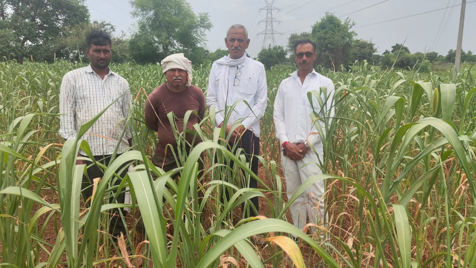 पावसाअभावी अमळनेर तालुक्यात खरीप हंगाम उध्वस्त; शेतकरी आकाशाकडे टक लावून प्रतीक्षेत
