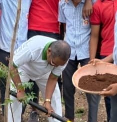 सेवा सप्ताह निमित्ताने वृक्षारोपण ,खाऊ वाटपचे कार्यक्रम
