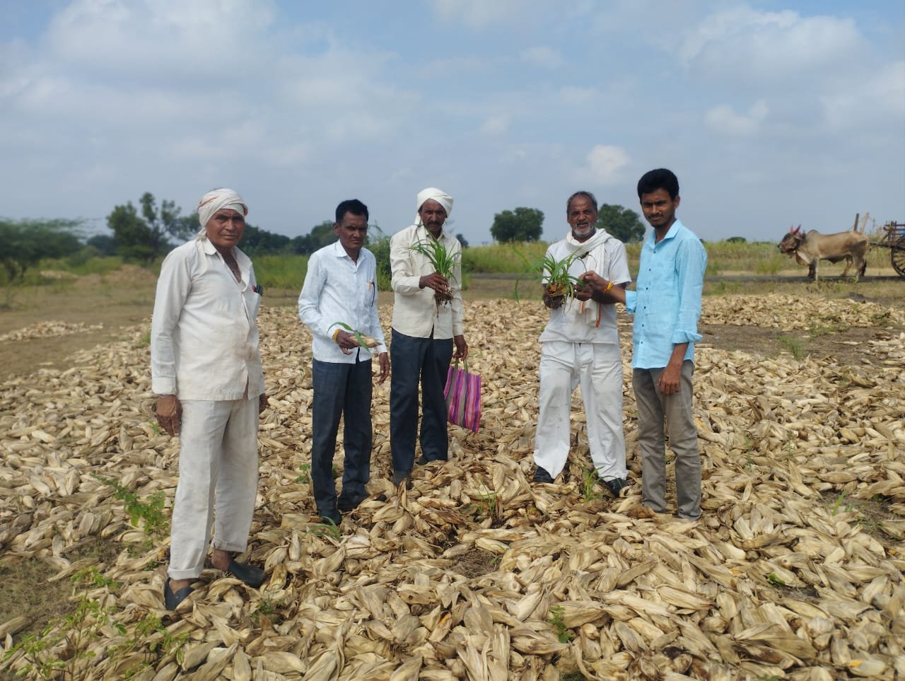 अतिवृष्टीने प्रभावित शेतकऱ्यांच्या वेदना जाणून घेण्यासाठी दिपक पाटील वाघोदे यांची मंगरूळ येथे बांधावर भेट