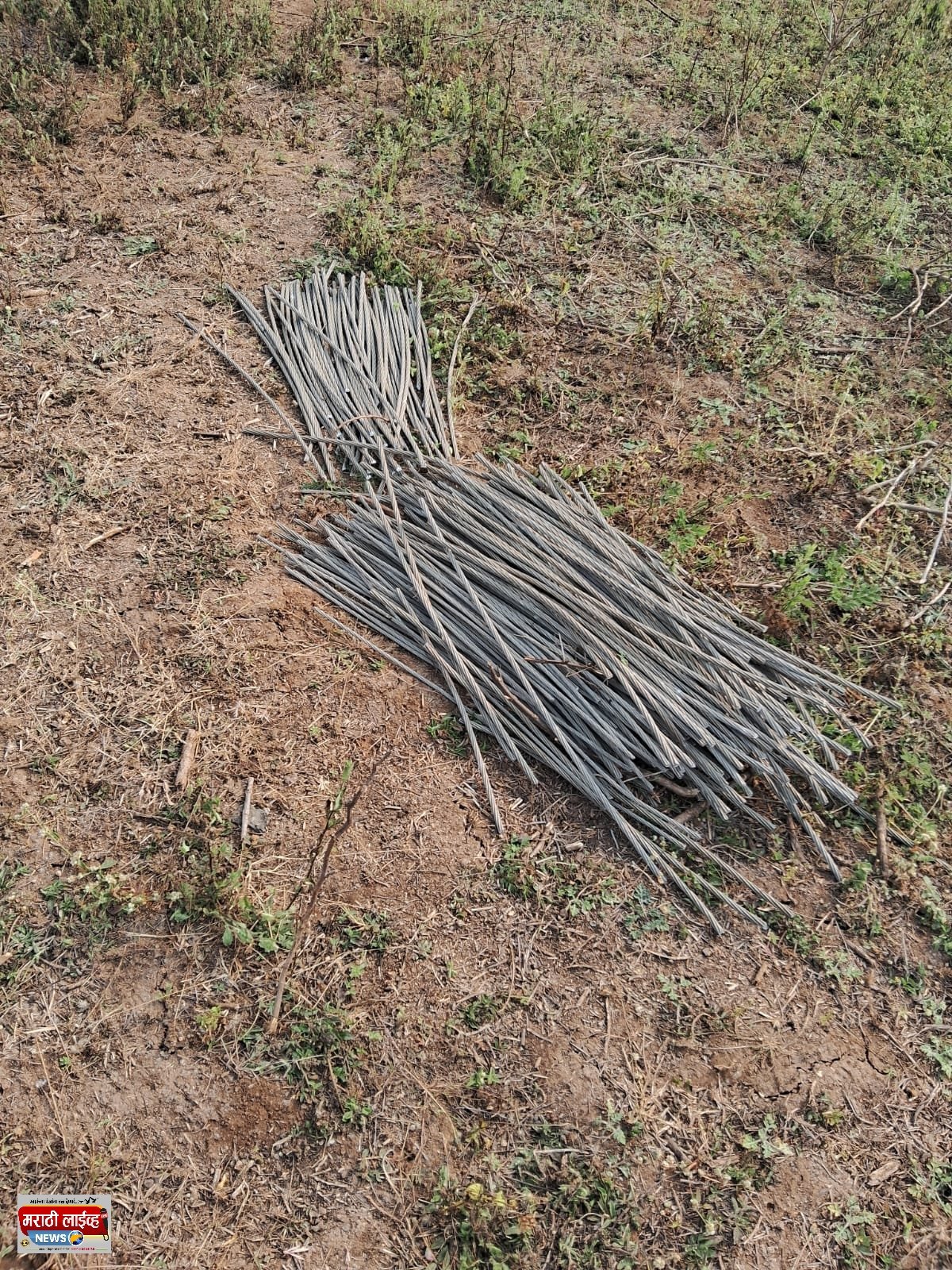 रणाईचे शिवारात एमएसईबीच्या तारांची चोरीचा प्रयत्न; पिकांना पाणी अडकल्याने शेतकरी दुहेरी संकटात