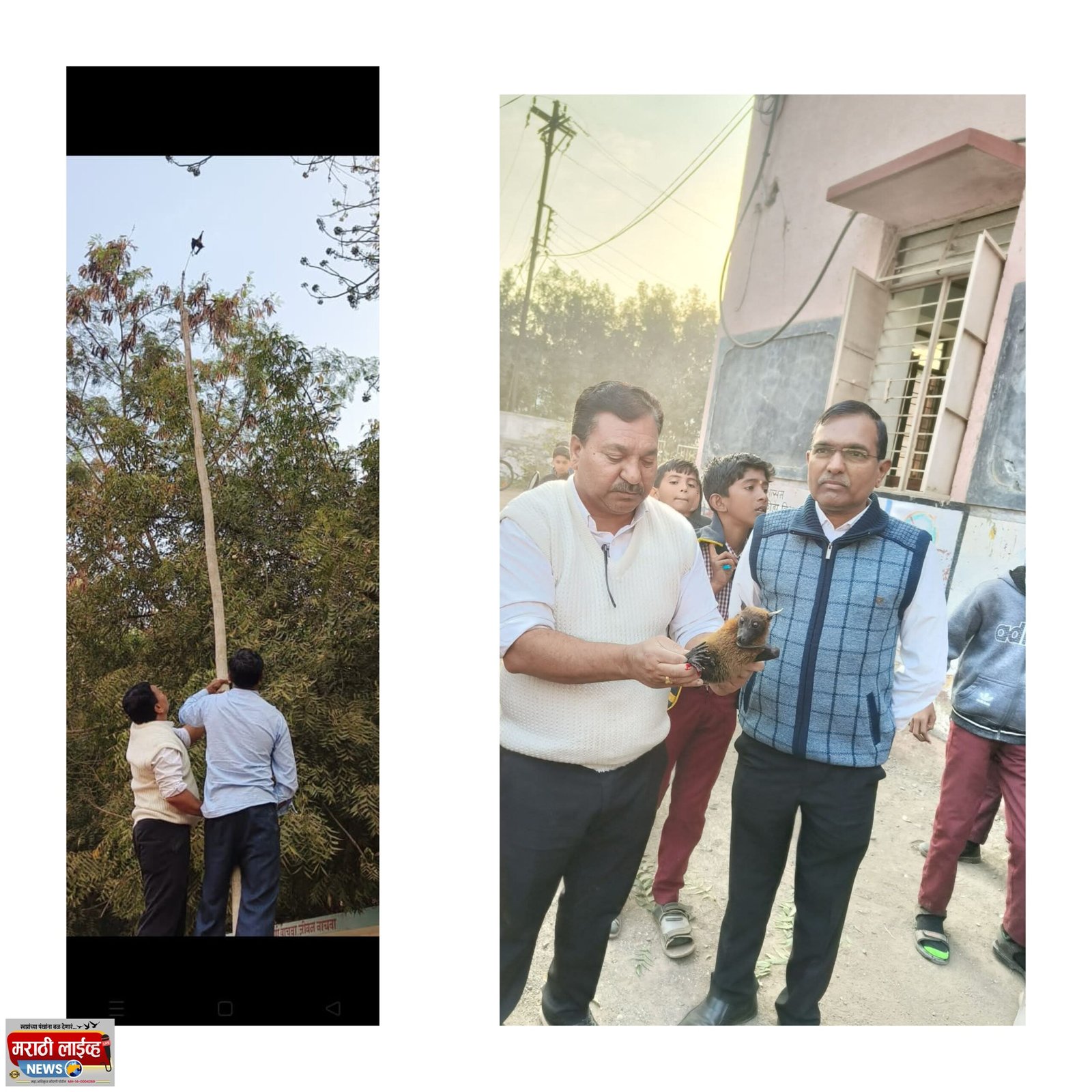 धारदार मांज्याचा फास फाडत वटवाघुळाची सुटका , साने गुरुजी विद्यामंदिरात पर्यावरण संवेदनशीलतेचे दर्शन