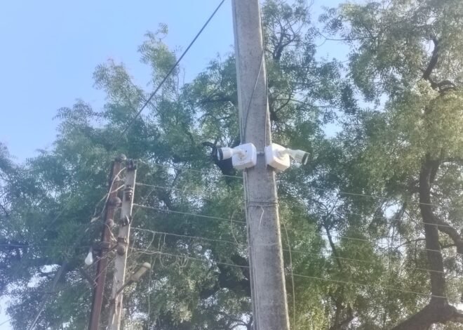 गुरे-जनावरांच्या चोरीला बसला अटकाव, सीसीटीव्हीमुळे सुरक्षित झाला खवशी गाव!