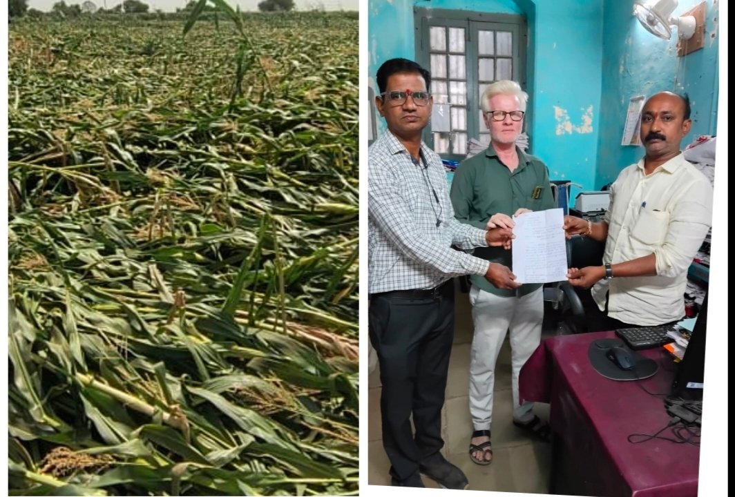 वादळाच्या तडाख्यात रब्बी पिकांचे मोठे नुकसान; पंचनाम्यासाठी तहसिलदारांकडे भावनिक निवेदन , मांडळ परिसरातील शेतकऱ्यांचे हाता-तोंडाशी आलेले पीक नष्ट; तातडीने नुकसान भरपाईची मागणी