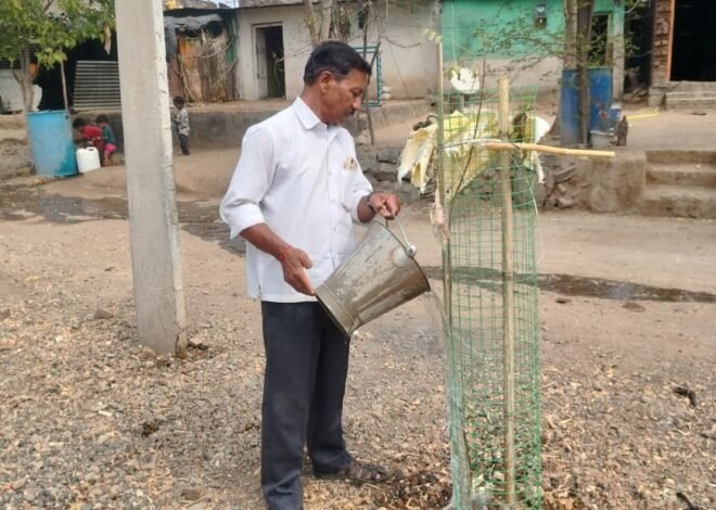 उन्हाच्या तडाख्यातही हिरवाईचा पहारेकरी – संभाजी पाटील यांची जिद्द कौतुकास्पद!