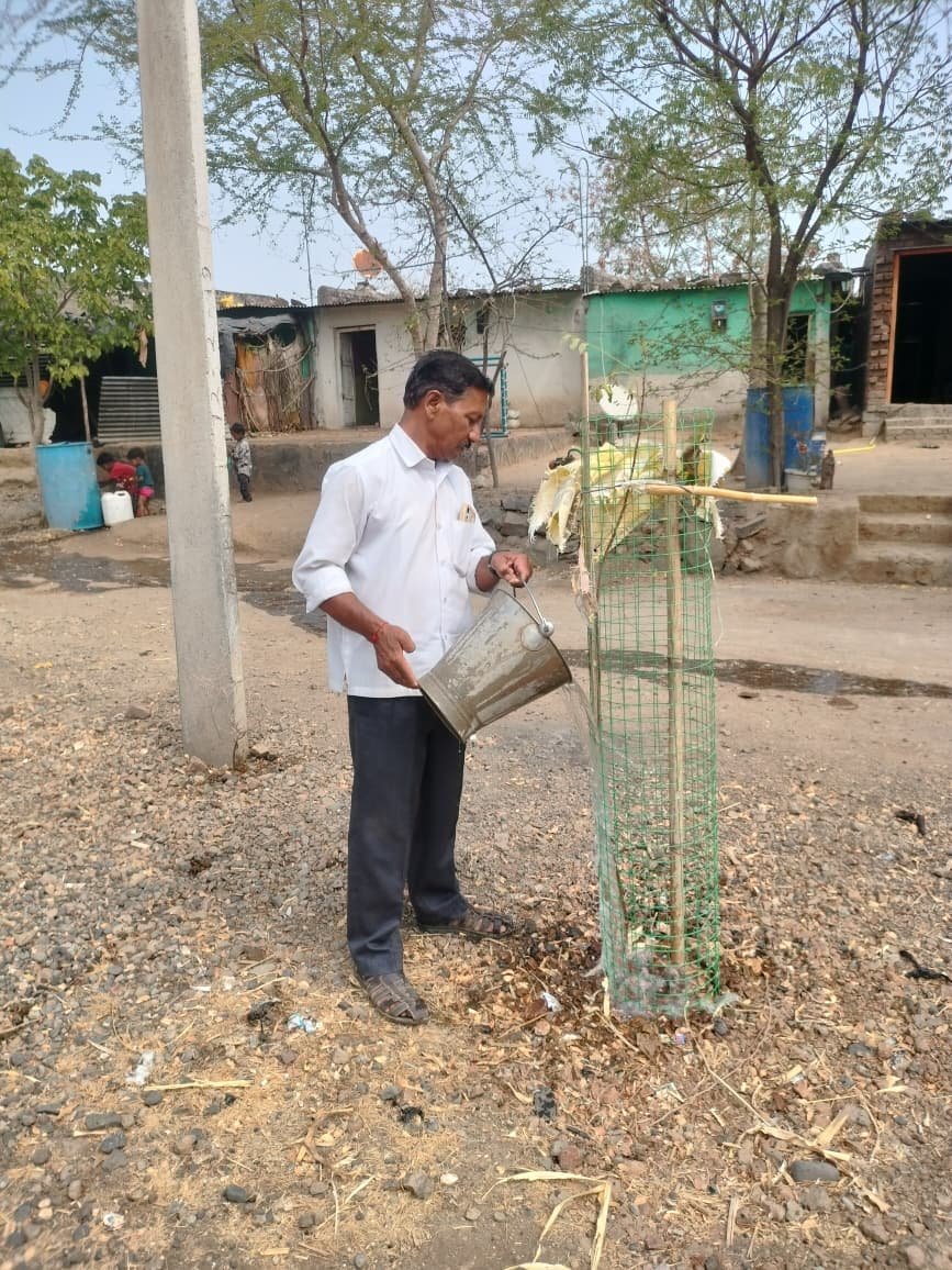 उन्हाच्या तडाख्यातही हिरवाईचा पहारेकरी – संभाजी पाटील यांची जिद्द कौतुकास्पद!