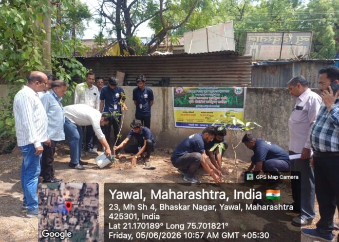 हरित क्रांतीकडे एक पाऊल; जागतिक पर्यावरण दिनानिमित्त विद्यार्थ्यांचा स्तुत्य उपक्रम