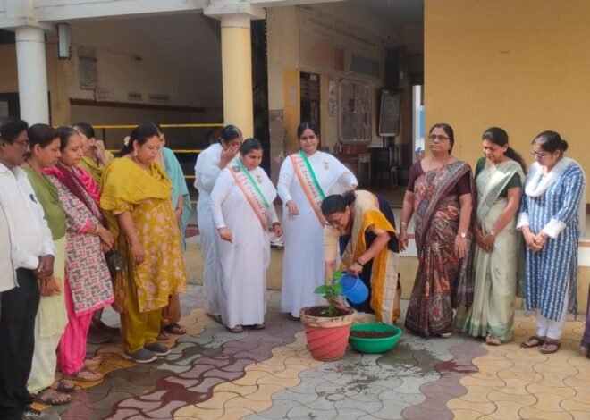 पर्यावरण दिनानिमित्त ए. टी. झांबरे माध्यमिक विद्यालयात वृक्षारोपण