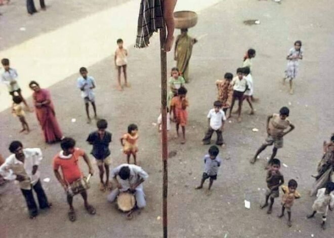 पोटाची आग विझवण्यासाठी, जीव उंच खांबावर झुलतो; विकासाच्या गप्पांमध्ये मात्र, गरीब अजूनही भुकेशी लढतो…”