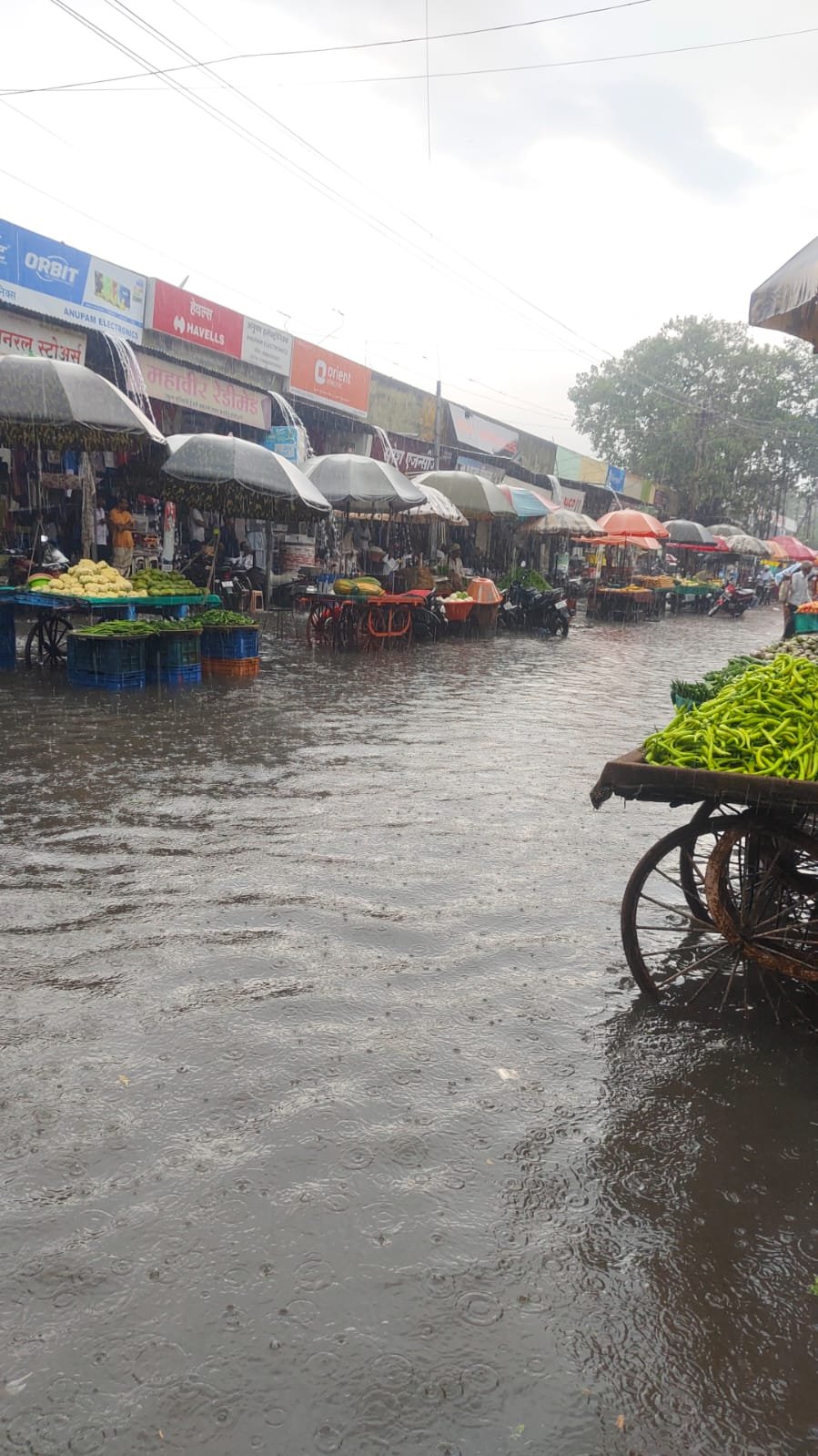 वटपौर्णिमेच्या गर्दीत  पावसाचा कहर; विजय स्टील गल्ली जलमय गटारी तुंबल्याने भाजीपाला विक्रेत्यांची धावपळ; ग्राहकांचीही पाण्यातून वाटचाल – नगरपरिषदेला तातडीने उपाययोजनांची मागणी