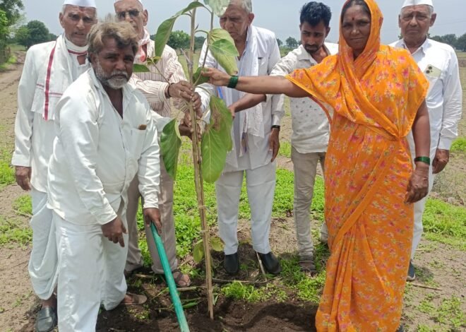 वाढदिवसातून पर्यावरण संवर्धनाचा वसा; अरुण देशमुखांचा अभिनव उपक्रम , वाढदिवसाचा हरित संकल्प! ७६ व्या वर्षी ७६ वृक्षांची अनोखी भेट