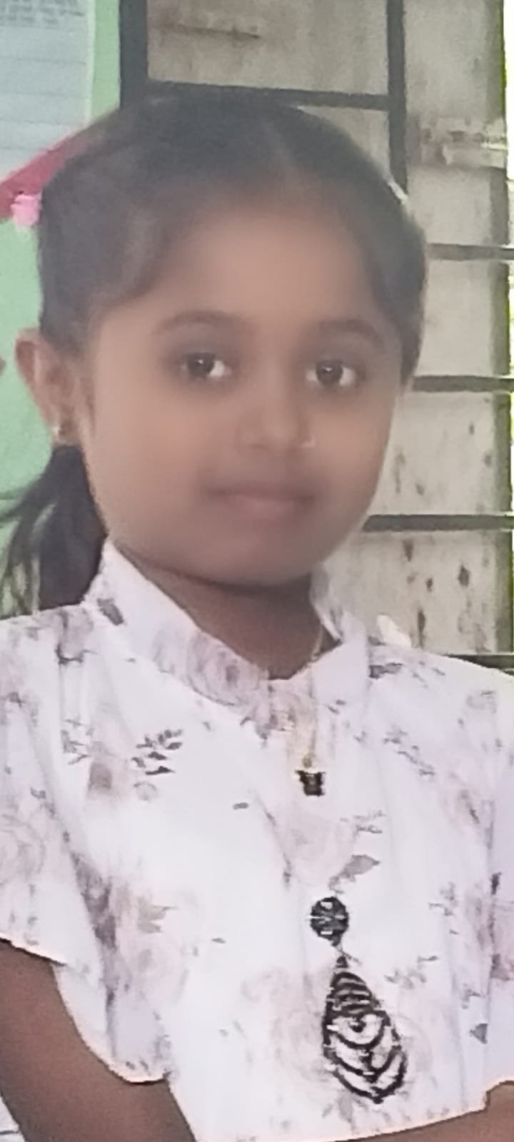 जिद्द, परिश्रम आणि गुणवत्तेचा सन्मान! , जिल्हा परिषद प्राथमिक शाळा तांदळीच्या माजी विद्यार्थिनी भाग्यश्री तिरमलेची शिष्यवृत्ती परीक्षेत घवघवीत यश