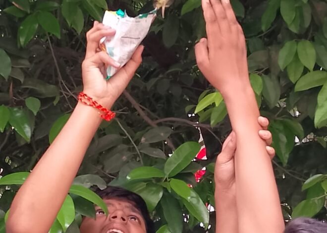 चिमणीच्या पिलासाठी विद्यार्थ्याची धाव; माणुसकीची ‘चिवचिव’ ठरली प्रेरणादायी! , करुणा क्लबच्या संस्कारातून पक्षी-प्राण्यांप्रती दयेचा भाव; इयत्ता आठवीतील हितांशू महाजनने वाचविले चिमणीचे पिल्लू
