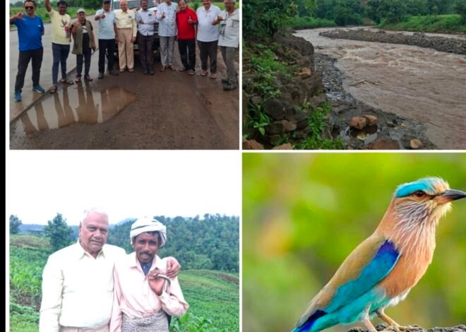 धुक्यात हरवला सातपुडा! निसर्गमित्रांची पावसाळी ट्रेकिंग ठरली अविस्मरणीय